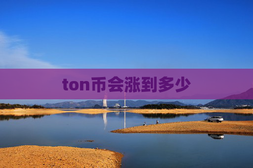 ton币会涨到多少
