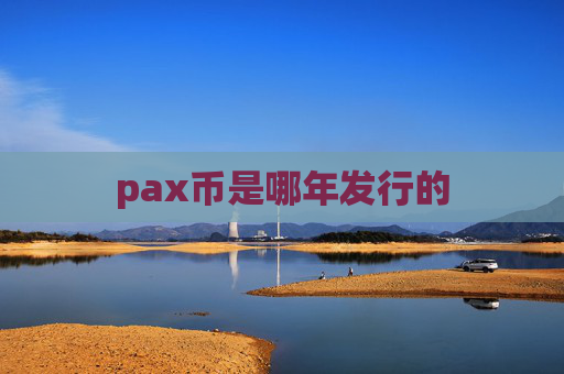 pax币是哪年发行的