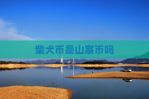 柴犬币是山寨币吗