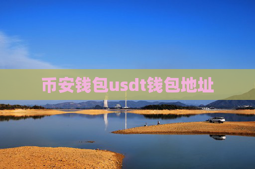 币安钱包usdt钱包地址