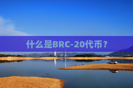 什么是BRC-20代币？