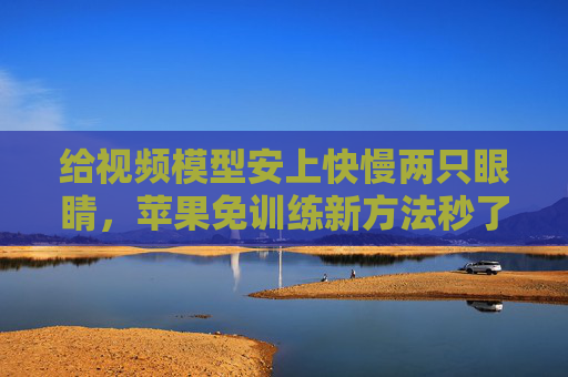 给视频模型安上快慢两只眼睛，苹果免训练新方法秒了一切SOTA