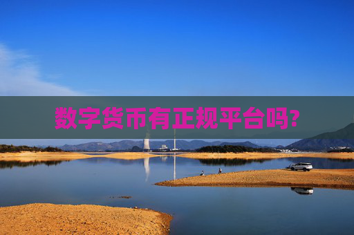 数字货币有正规平台吗?
