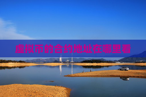 虚拟币的合约地址在哪里看