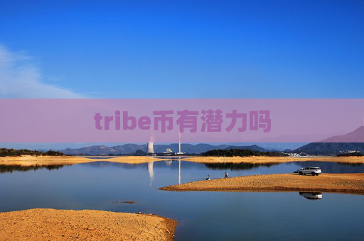 tribe币有潜力吗