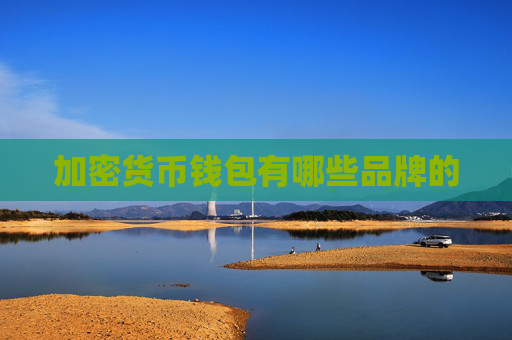 加密货币钱包有哪些品牌的
