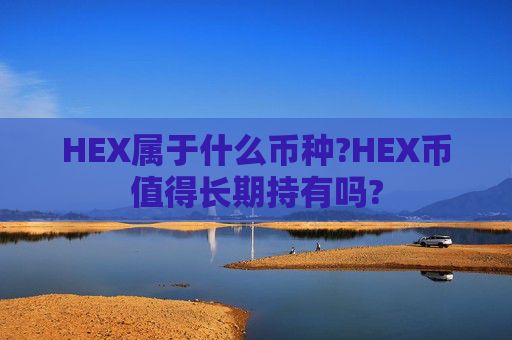 HEX属于什么币种?HEX币值得长期持有吗?