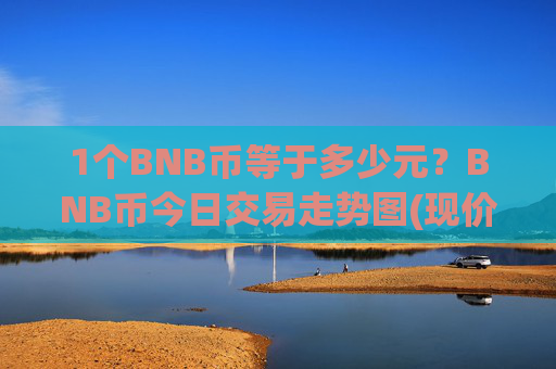 1个BNB币等于多少元？BNB币今日交易走势图(现价4869.01元)