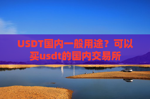 USDT国内一般用途？可以买usdt的国内交易所