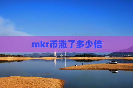 mkr币涨了多少倍