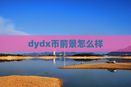 dydx币前景怎么样