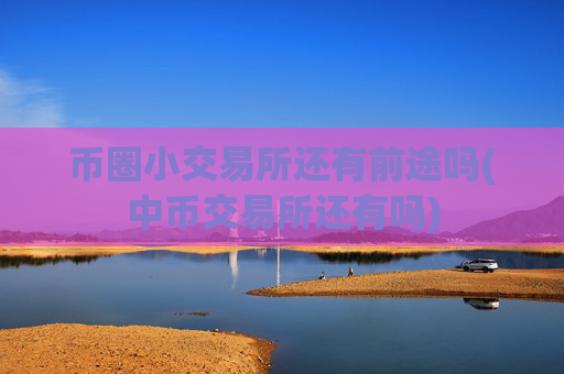 币圈小交易所还有前途吗(中币交易所还有吗)