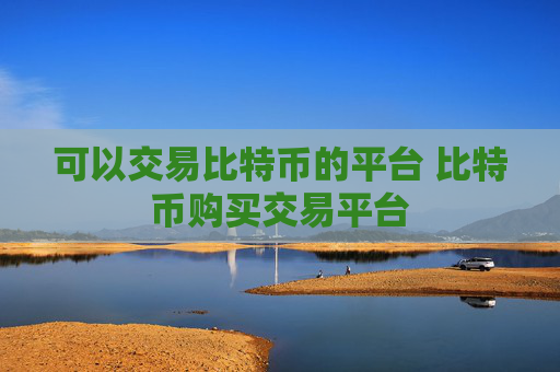可以交易比特币的平台 比特币购买交易平台