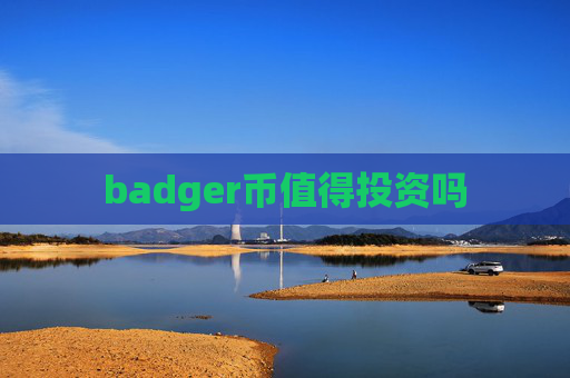 badger币值得投资吗
