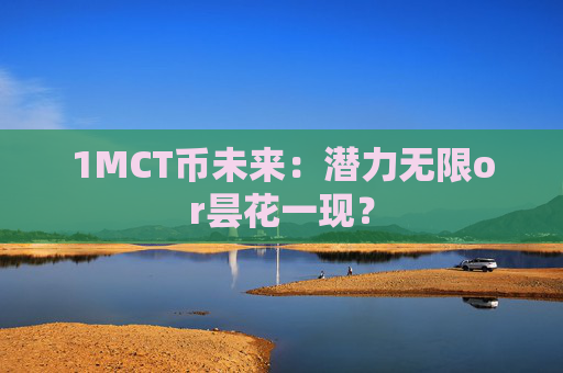 1MCT币未来：潜力无限or昙花一现？