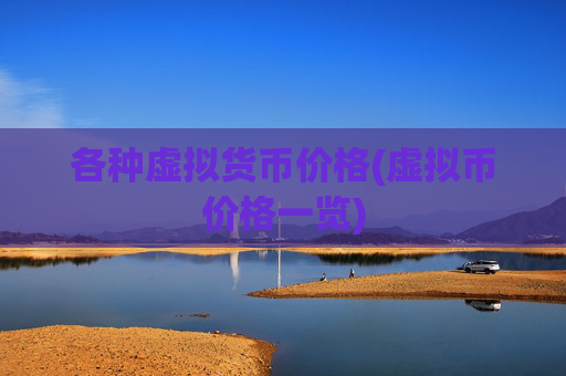 各种虚拟货币价格(虚拟币价格一览)