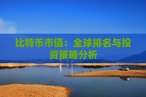 比特币市值：全球排名与投资策略分析