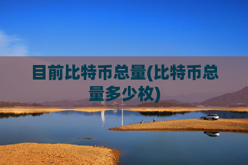 目前比特币总量(比特币总量多少枚)