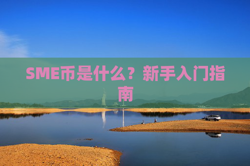 SME币是什么？新手入门指南