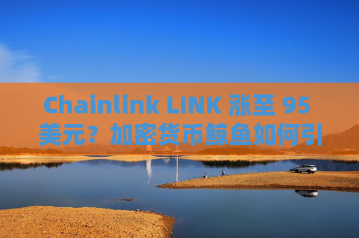 Chainlink LINK 涨至 95 美元？加密货币鲸鱼如何引发反弹