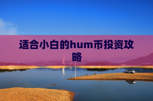 适合小白的hum币投资攻略