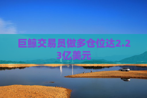 巨鲸交易员做多仓位达2.23亿美元