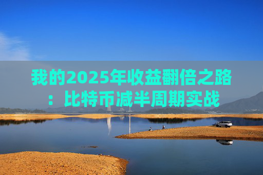 我的2025年收益翻倍之路:比特币减半周期实战