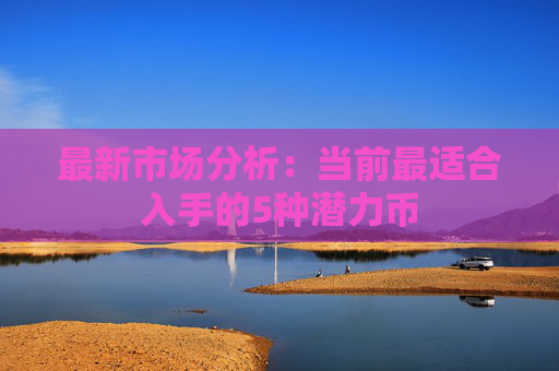 最新市场分析：当前最适合入手的5种潜力币