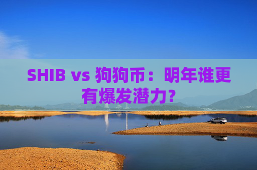 SHIB vs 狗狗币：明年谁更有爆发潜力？