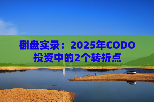 翻盘实录：2025年CODO投资中的2个转折点