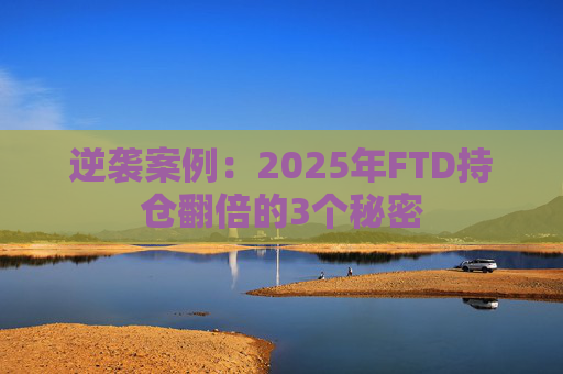 逆袭案例：2025年FTD持仓翻倍的3个秘密