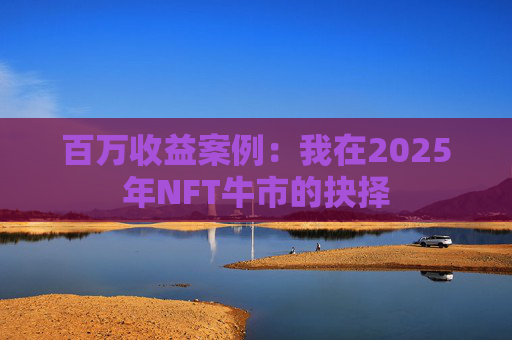 百万收益案例：我在2025年NFT牛市的抉择