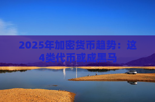 2025年加密货币趋势：这4类代币或成黑马