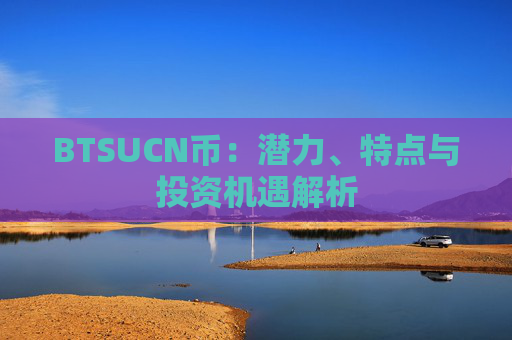 BTSUCN币：潜力、特点与投资机遇解析