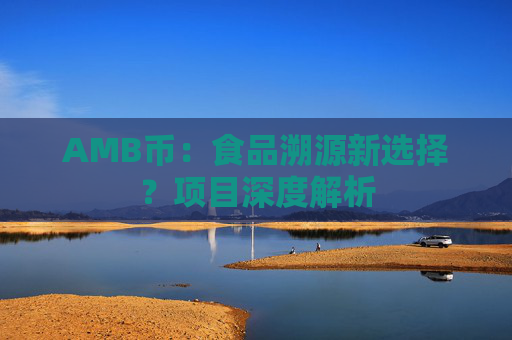 AMB币：食品溯源新选择？项目深度解析