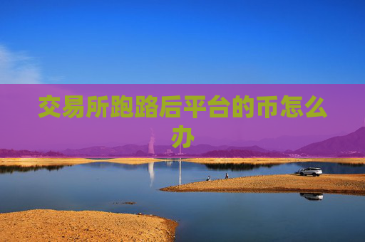 交易所跑路后平台的币怎么办