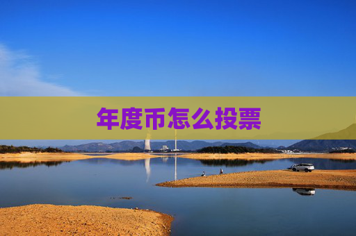 年度币怎么投票