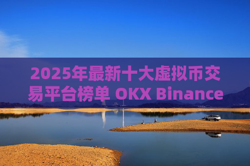 2025年最新十大虚拟币交易平台榜单 OKX Binance Gate.io领衔推荐