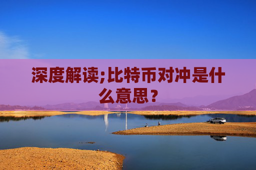 深度解读;比特币对冲是什么意思？