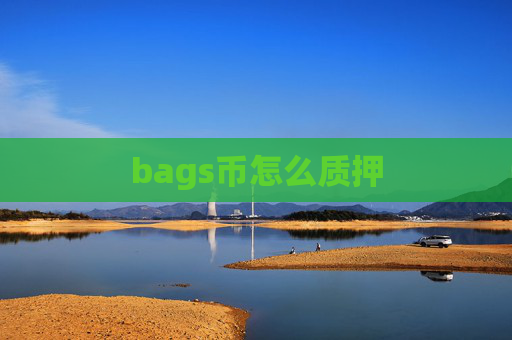 bags币怎么质押