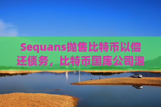 Sequans抛售比特币以偿还债务，比特币国库公司泡沫最终破灭