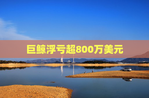 巨鲸浮亏超800万美元