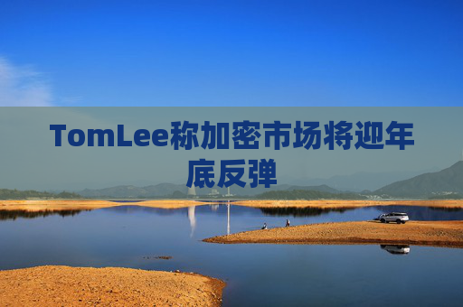 TomLee称加密市场将迎年底反弹