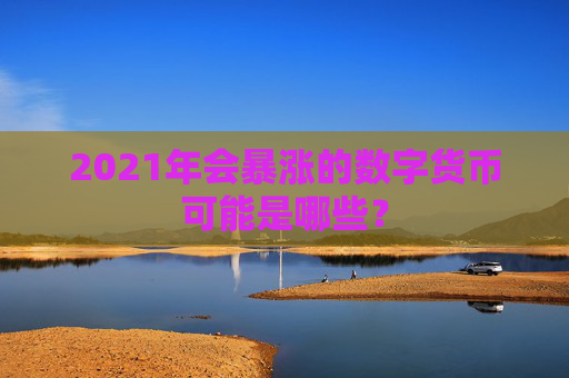 2021年会暴涨的数字货币可能是哪些？