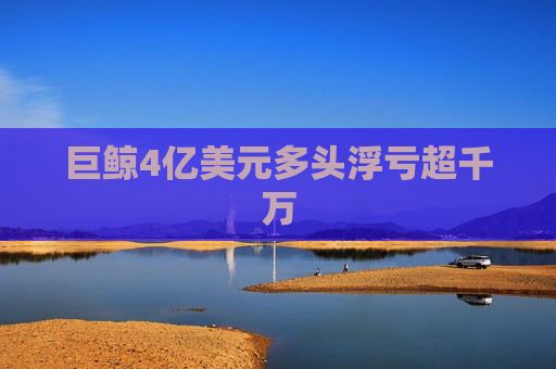巨鲸4亿美元多头浮亏超千万