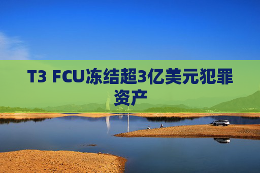 T3 FCU冻结超3亿美元犯罪资产