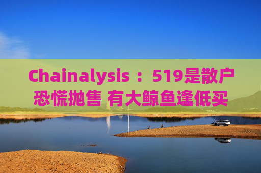 Chainalysis ：519是散户恐慌抛售 有大鲸鱼逢低买2.14亿美元比特币