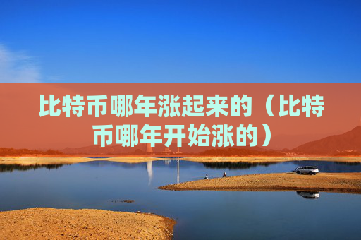 比特币哪年涨起来的（比特币哪年开始涨的）