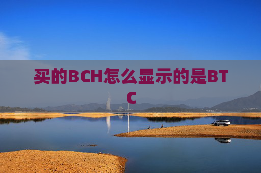 买的BCH怎么显示的是BTC