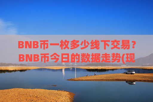 BNB币一枚多少线下交易？BNB币今日的数据走势(现价4820.14元)